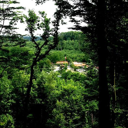 Randboldal Camping & Cabins Экстерьер фото
